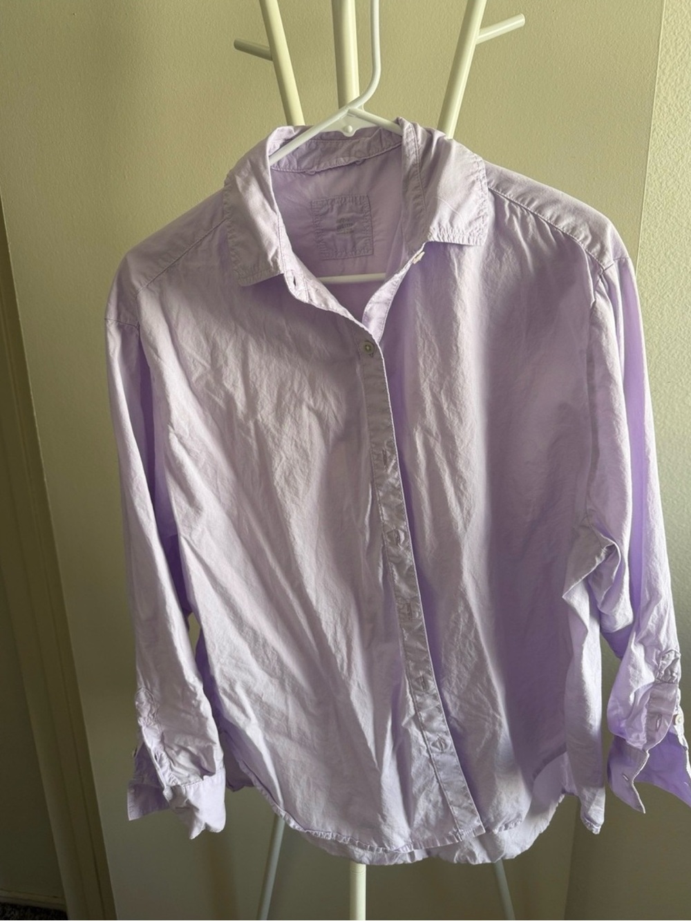 aerie Men's Lavender Long-Sleeve Button-Down Shirt